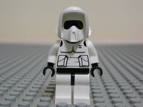sw005